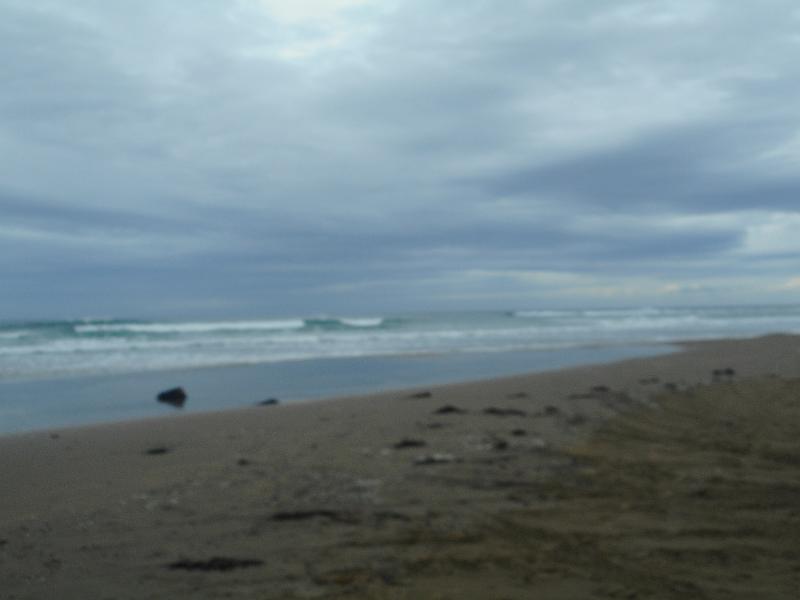 DSCN2016.JPG