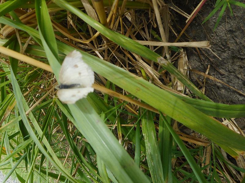 DSCN2048.JPG