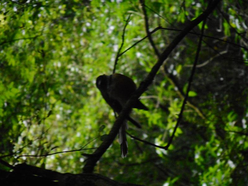 DSCN2067.JPG