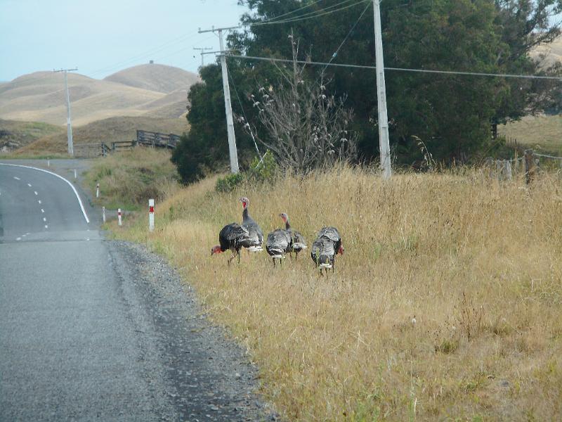 DSCN2074.JPG