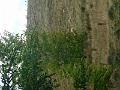 DSCN2076