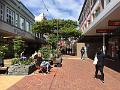IMG_2941