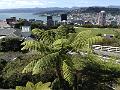 IMG_0676