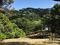 IMG_3028