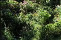 IMG_8056