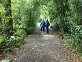 IMG_3136