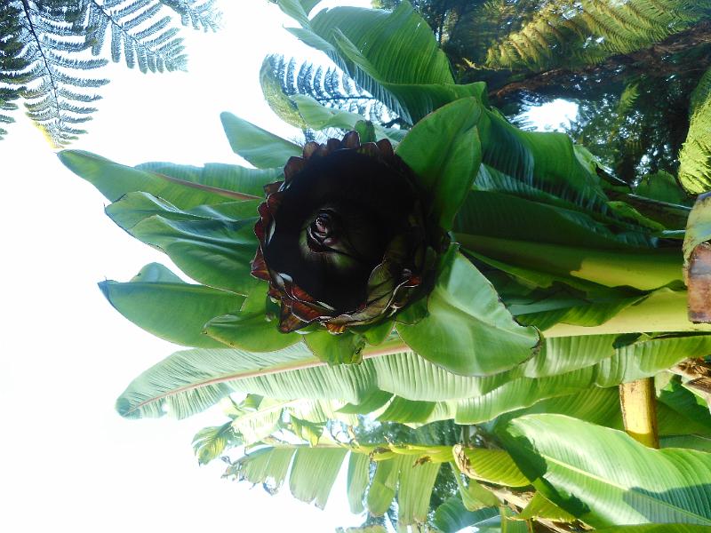 DSCN2379.JPG