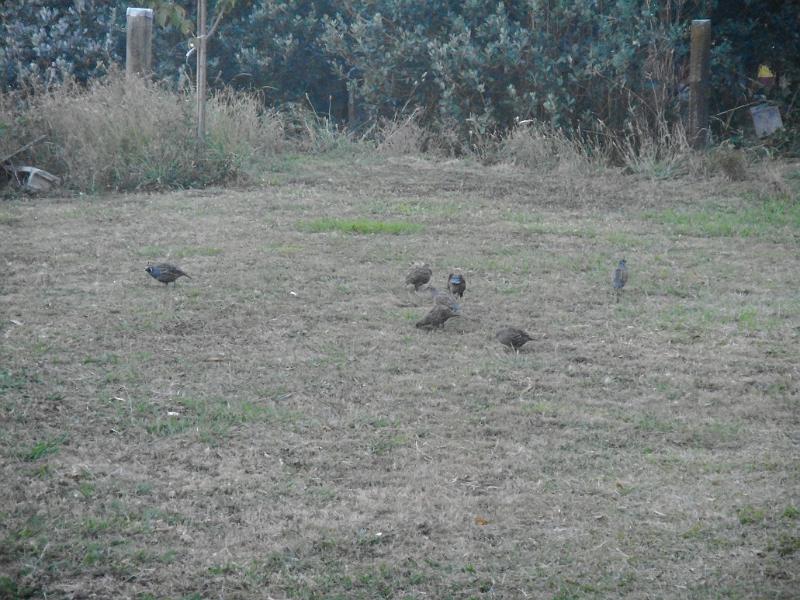 DSCN2386.JPG