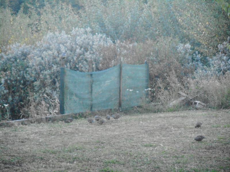 DSCN2387.JPG