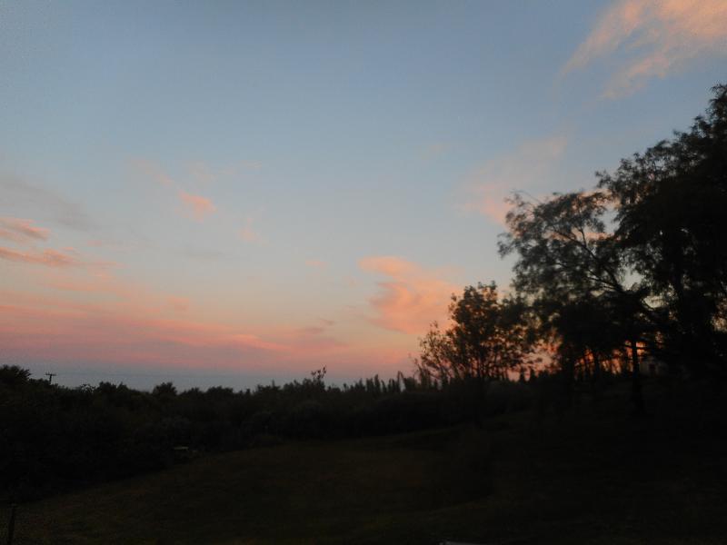DSCN2390.JPG