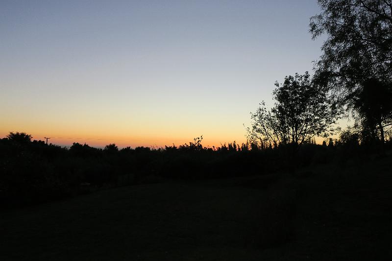 IMG_8351.JPG