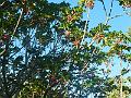 DSCN2383