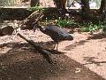 IMG_3330