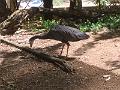 IMG_3331