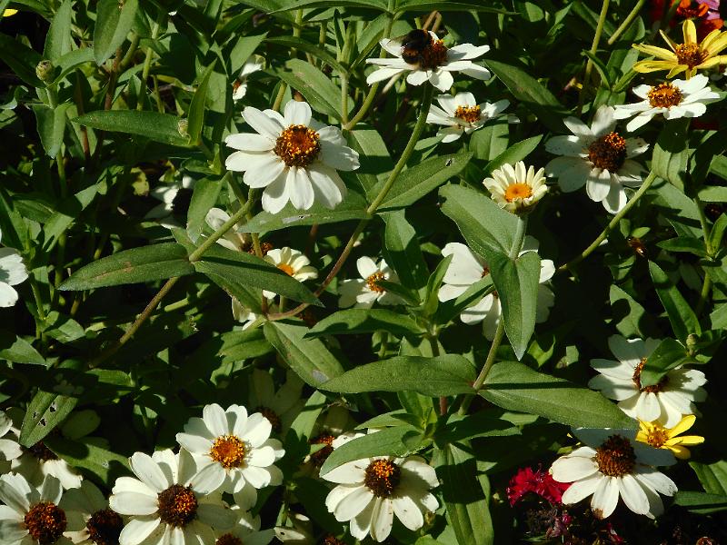 DSCN2402.JPG