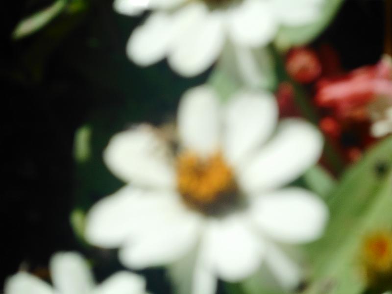 DSCN2404.JPG
