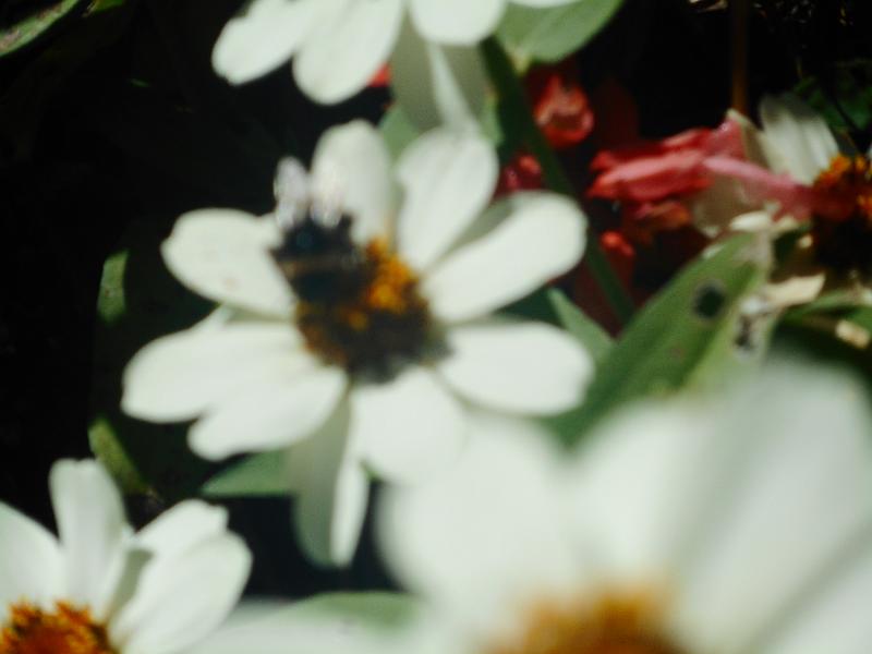DSCN2405.JPG