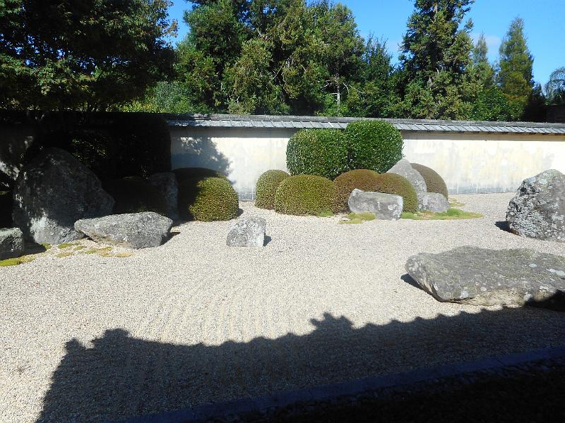 DSCN2408.JPG
