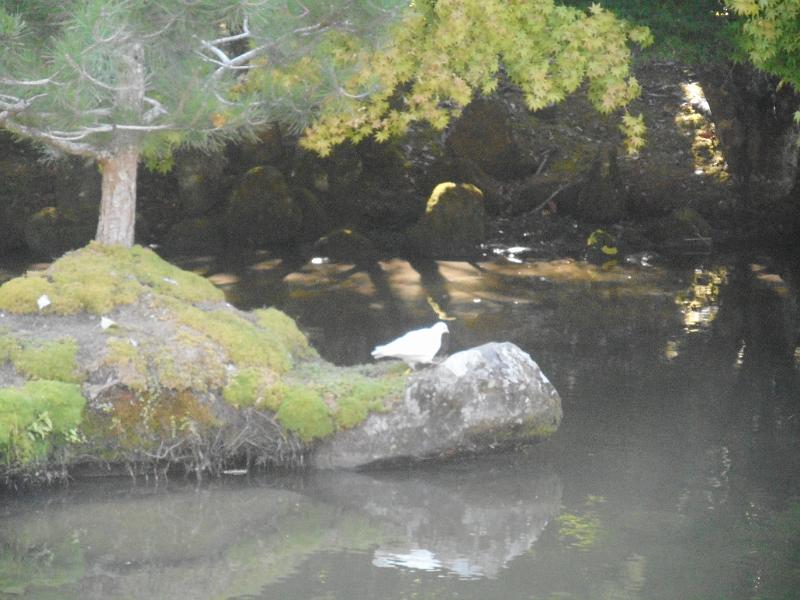 DSCN2412.JPG