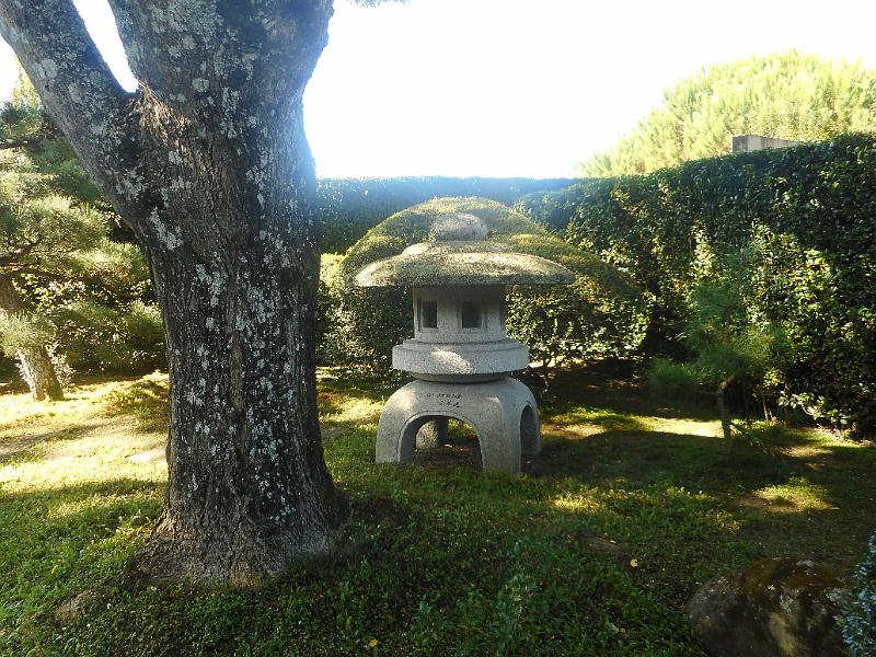 DSCN2414.JPG