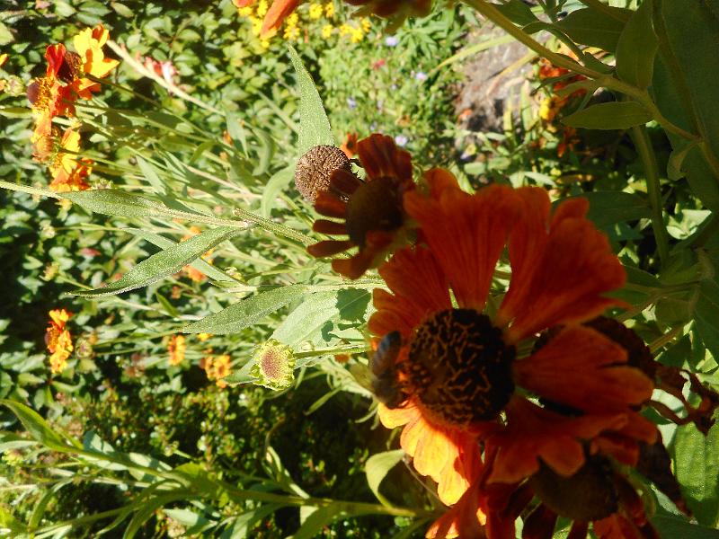 DSCN2422.JPG
