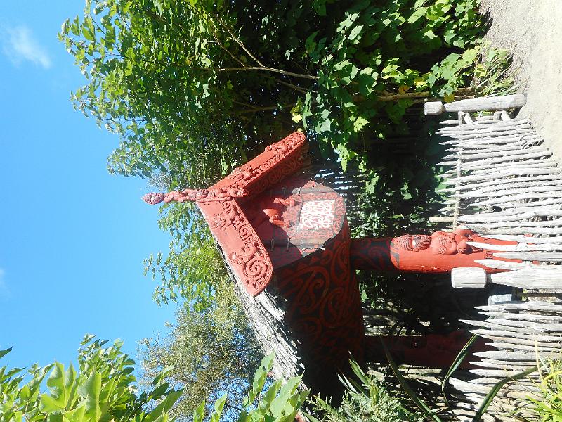DSCN2436.JPG
