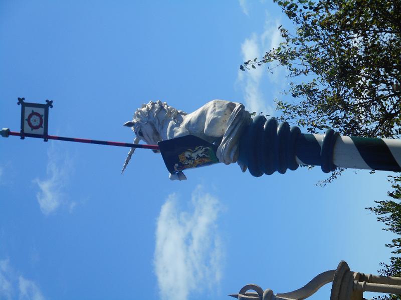 DSCN2446.JPG