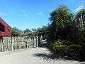 DSCN2431