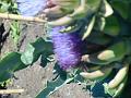 DSCN2459