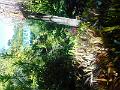 DSCN2468