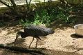 IMG_8419
