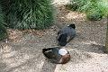 IMG_8465
