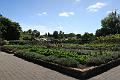 IMG_8605