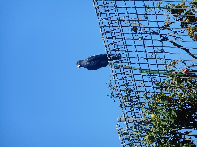 DSCN2482.JPG