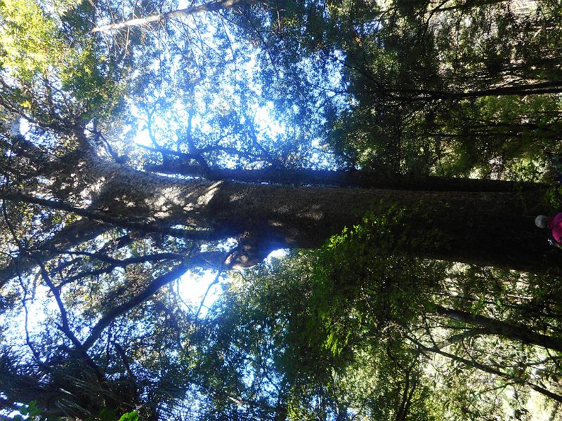 DSCN2488.JPG