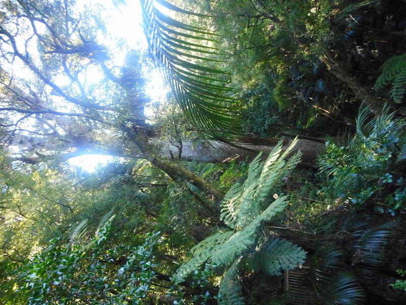 DSCN2490.JPG