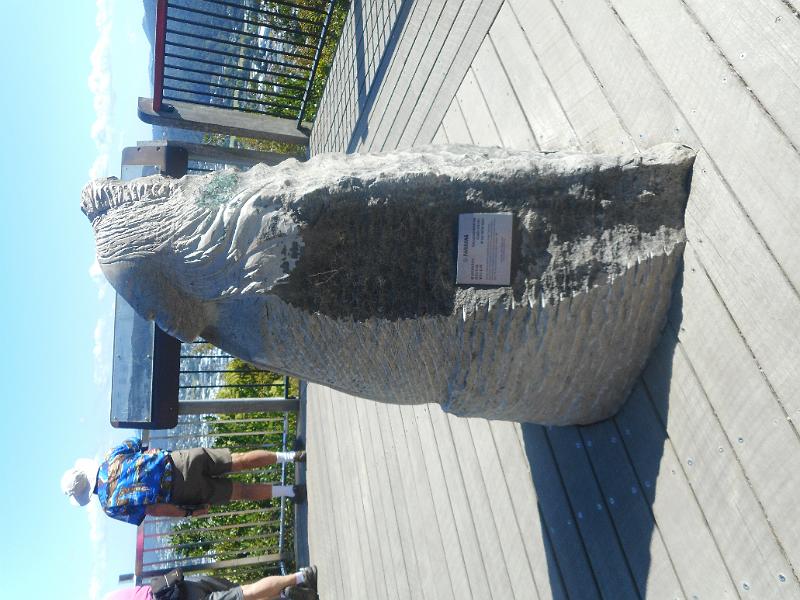 DSCN2521.JPG