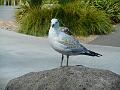 DSCN2470