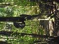 DSCN2486