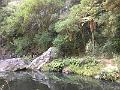 IMG_3457