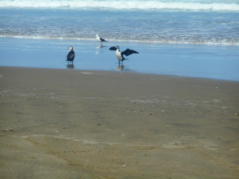 DSCN2528.JPG