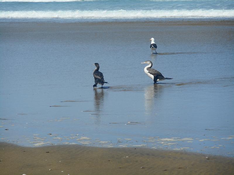 DSCN2529.JPG