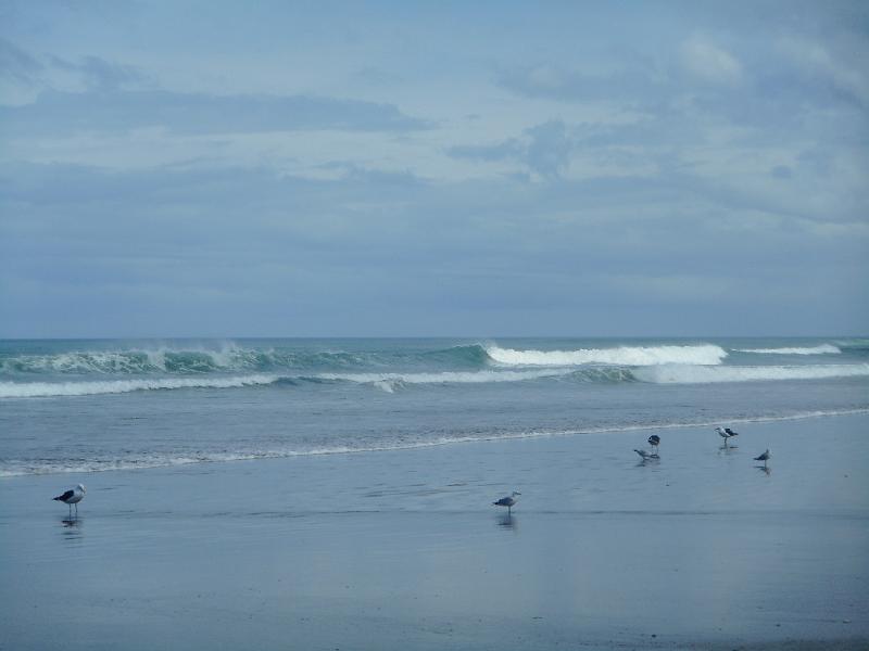 DSCN2535.JPG