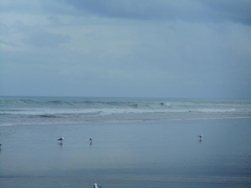 DSCN2537.JPG