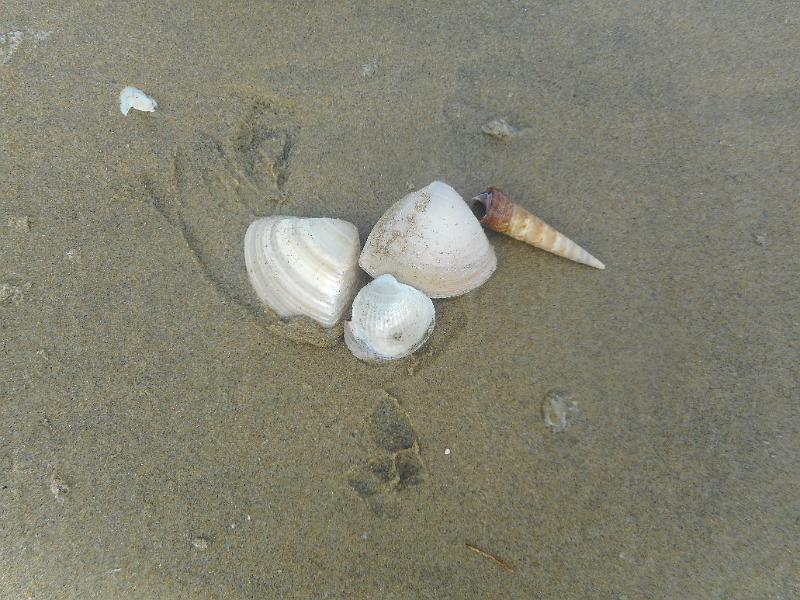 DSCN2540.JPG