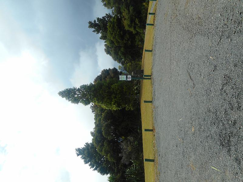 DSCN2547.JPG
