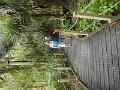 DSCN2557