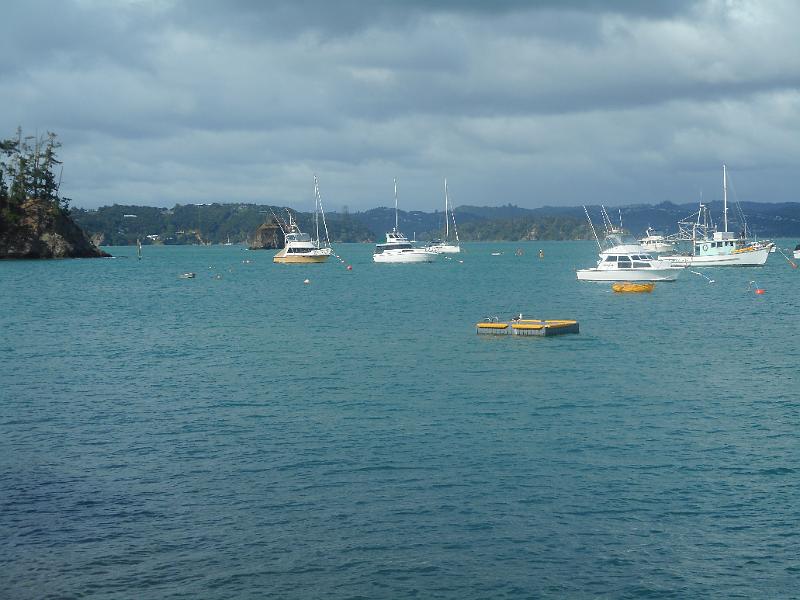DSCN2568.JPG