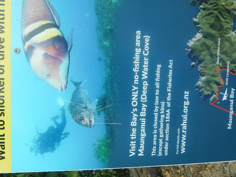 DSCN2580.JPG