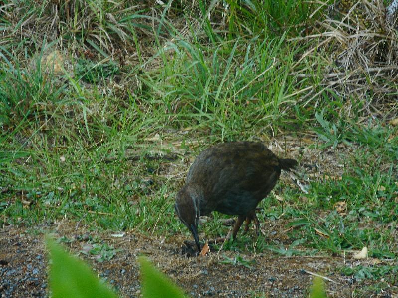 DSCN2585.JPG